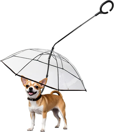 Dog Umbrella for Small Dogs, Self-Assembly Dog Umbrella Leash, Clear Doggie Rain Umbrella, Puppy Walking Umbrella with Adjustable Leash